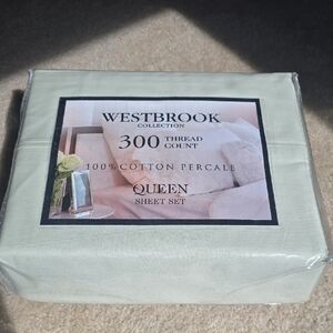 Queen Sheet Set in Light Green